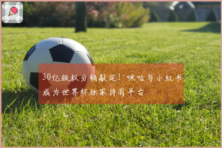 30亿版权分销敲定!咪咕与小红书成为世界杯独家持有平台